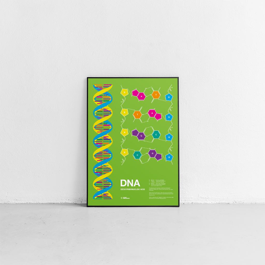 DNA print
