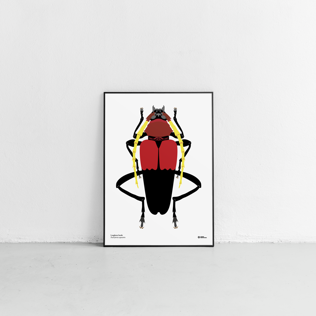 Longhorn beetle print