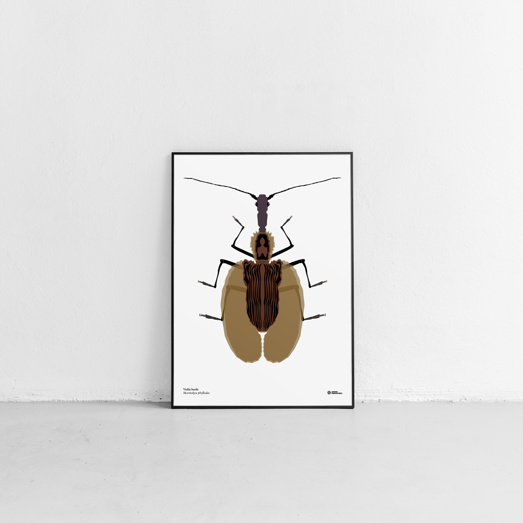 Violin beetle print