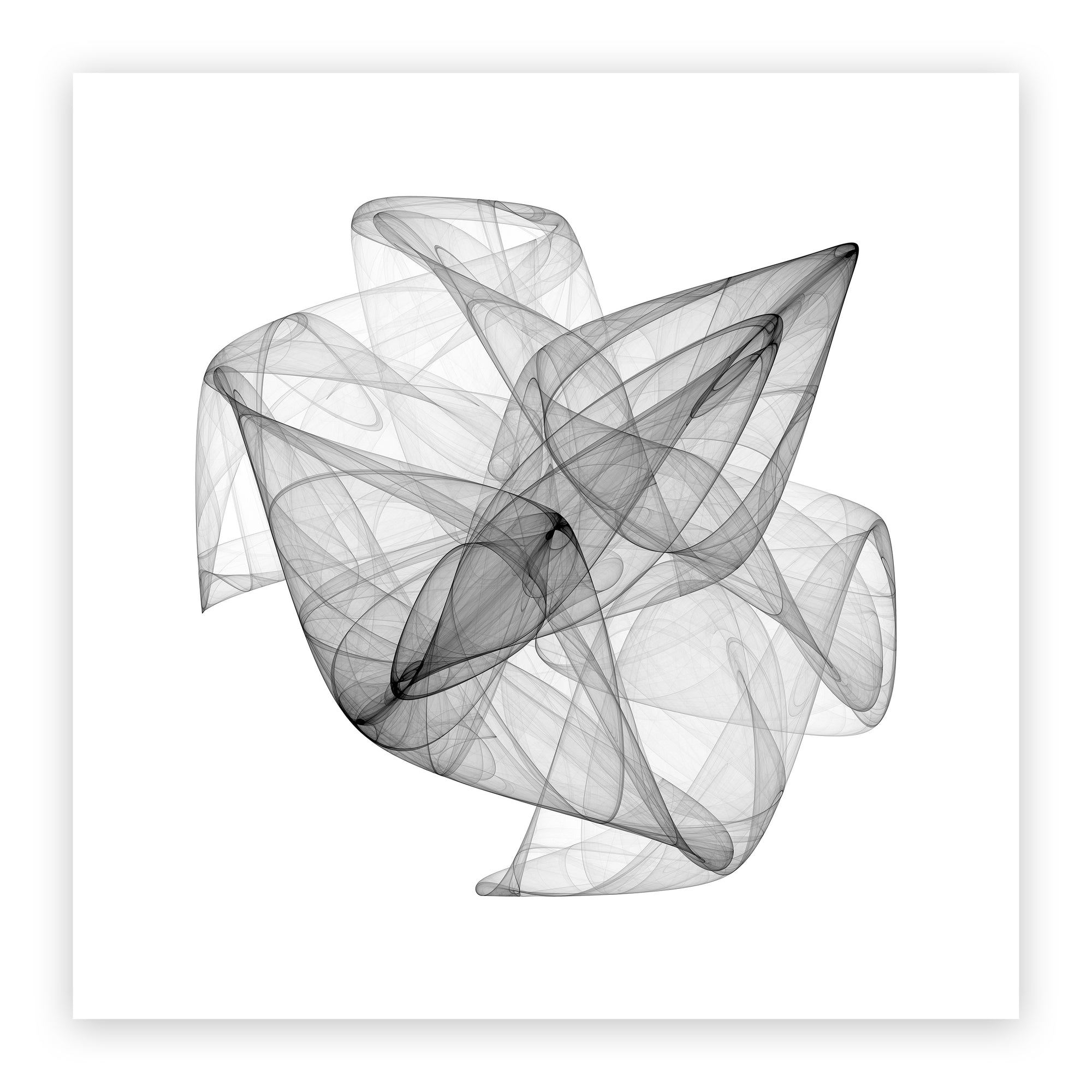 Phase Portrait 002