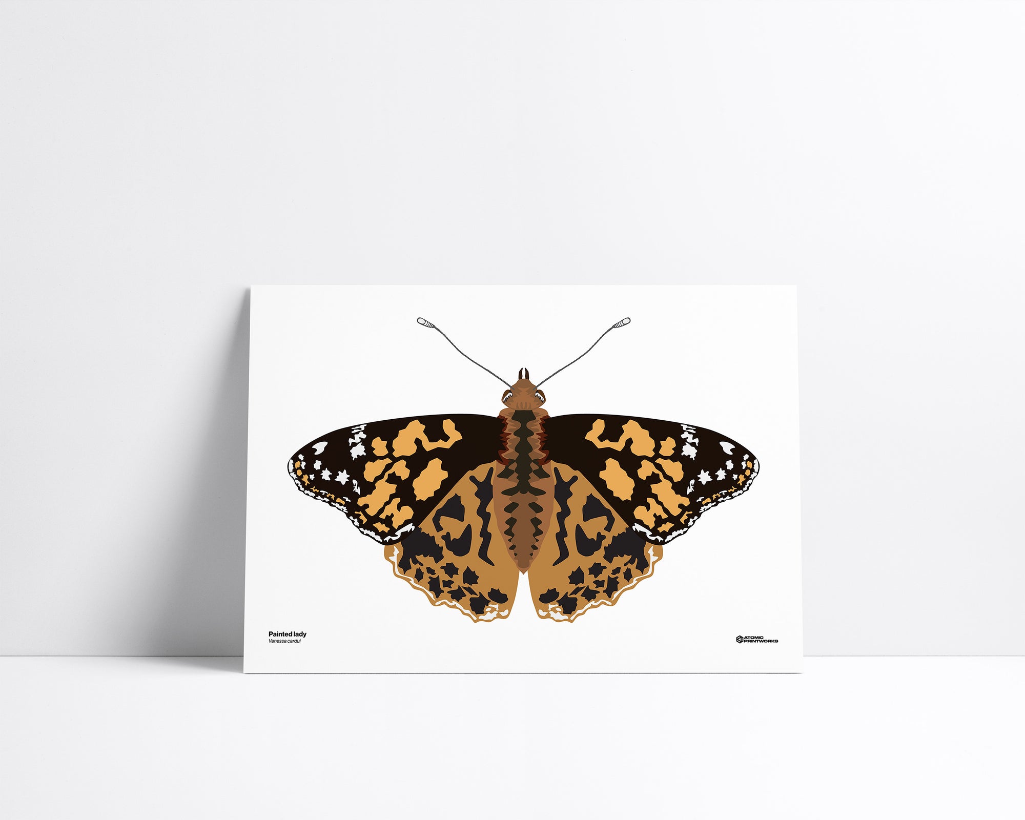 Painted Lady