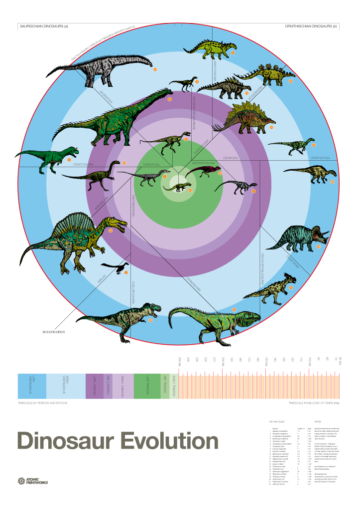 Dinosaur Evolution print