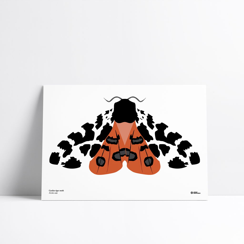 Garden tiger moth print