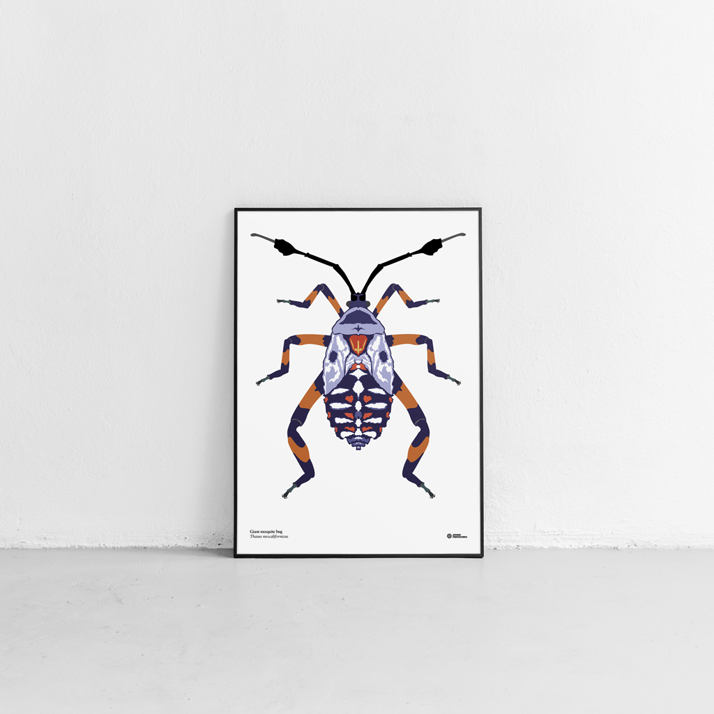 Giant mesquite bug print