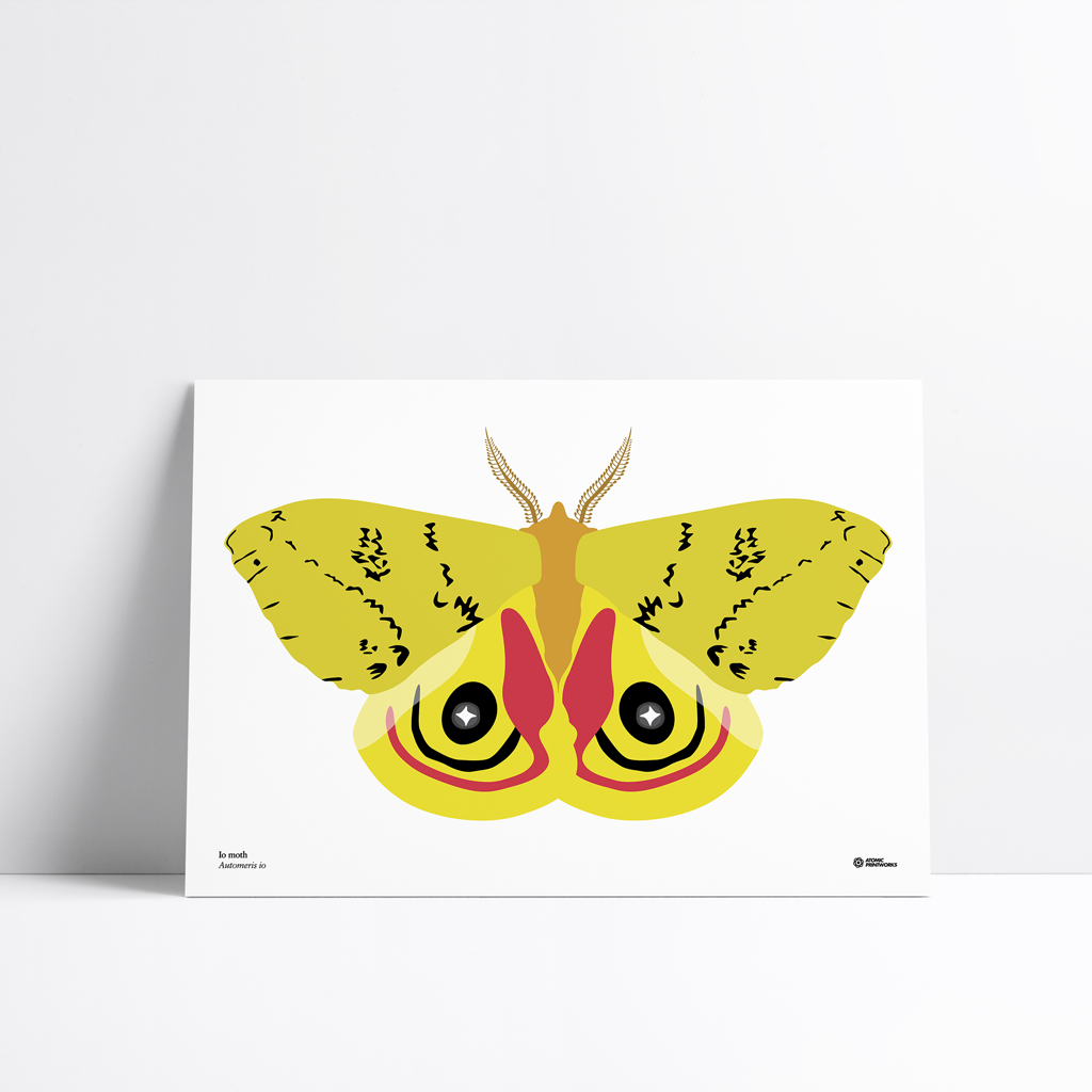 Io moth print