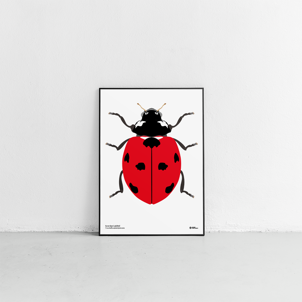 Seven spot ladybird print