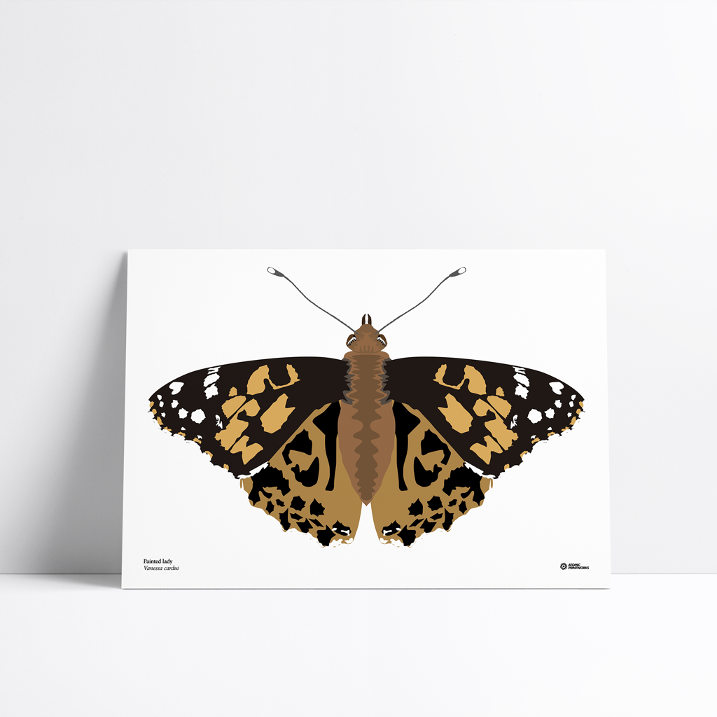 Painted lady butterfly print