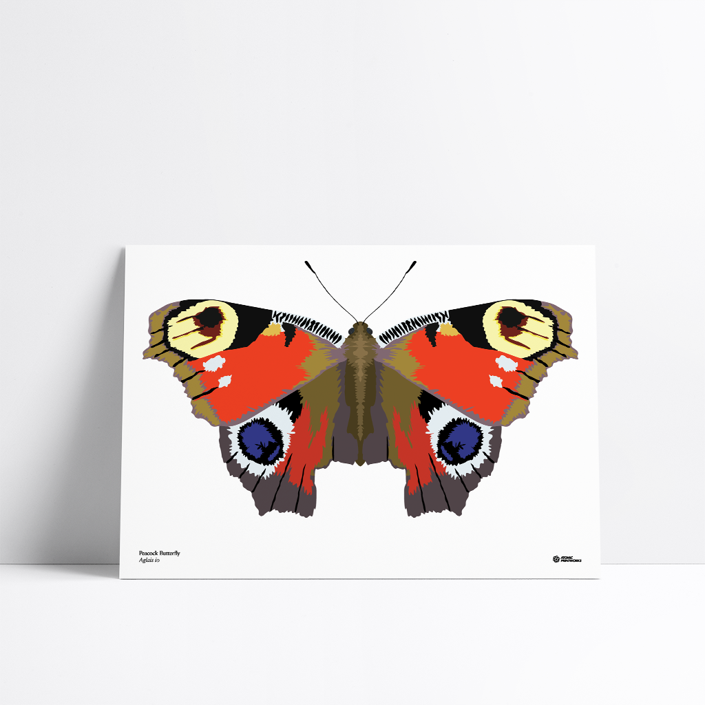 Peacock butterfly print